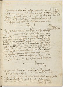 Código sobre el vuelo de los pájaros, c. 1505-06, manuscrito en papel, cc. 18, hoja 5 recto